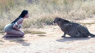 Она Пожалела, что Сделала Это! Случаи с Животными Снятые на Камеру