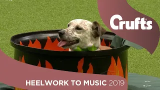 Freestyle Heelwork to Music Competition - Part 2 | Crufts 2019