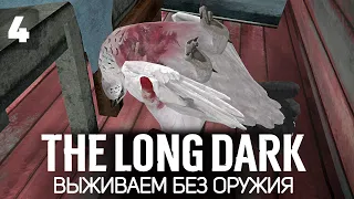 Куропаточка не выжила. Выживем ли мы? 🦆 The Long Dark [2023 PC] #4