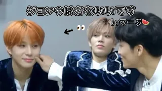 【NCT127/ジョンウ/マーク/日本語字幕】マクンウ好きの全シズニに届けたいｴﾋﾟｿｰﾄﾞ