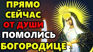 ЕЕ ДЕНЬ ПРОЧТИ 1 РАЗ СРОЧНО БОГОРОДИЦЕ ЭТУ МОЛИТВУ!Сильная Молитва Богородице. Православие