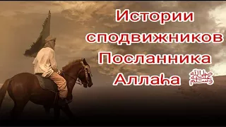 Истории сподвижников.Ар-Рабия ибн Зияд (да будет доволен им Аллаh).