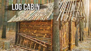 Building my log cabin alone in the woods. Part 5.