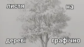 Як малювати листя на дереві в графіці.