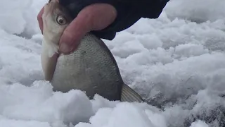 Fishing for the devil on the RUZ Reservoir. 8-12 kg of BREAM. Bream tore the line from Uncle Kolya.