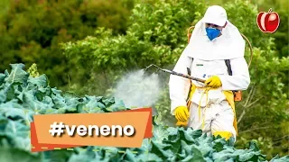 Como os Agrotóxicos Estão Afetando Nossa Saúde? | VP Nutrição Funcional