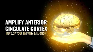 Amplify Your Anterior Cingulate Cortex | Develop Your Empathy Emotion and Impulse Control | 528 Hz