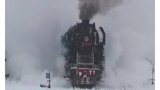 Papoušek v zajetí sněhu na trati 120/"Parrot" in captivity of snow on line 120