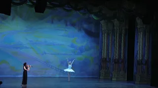 NUTCRACKER! Magical Christmas Ballet Musical Wunderkind Dying Swan in Fairfax at GMU 2018