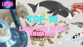 Top 10 long life span Animals! Full video!