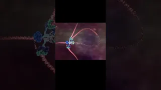 Real animation of DNA Replication