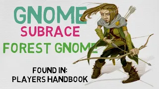 Race #4.2: Gnome --- Forest Gnome (DnD 5E Races)