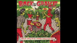 🇺🇸 Back From The Grave - Volume 10 (Full Album 2014, Vinyl)