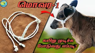 how to make cow face rope in tamil|மாடு மொவர கயிர் பின்னல்