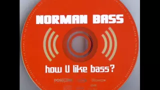 Norman Bass - How U Like Bass? (Warp Brothers Club Mix)