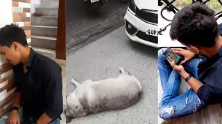 Emotional dog video😢 | accident |  heart touching❤ | anant rastogi