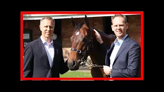 Owners enjoying dream run with redzel