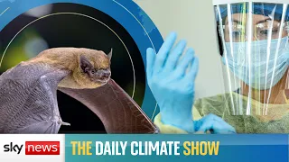 The Daily Climate Show: What impact will a warming world have on the transmission of viruses?