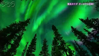 [グレートネイチャー] 極北カナダに究極のオーロラを追え | オーロラ爆発 | NHK