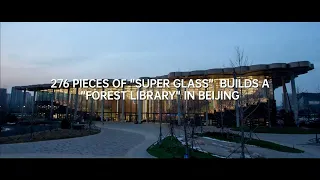 A total of 276 "super glasses" constructs an urban "Forest Library" in Beijing