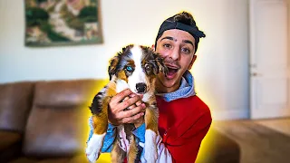 I GOT A NEW PUPPY!! **CUTEST DOG IN THE WORLD**