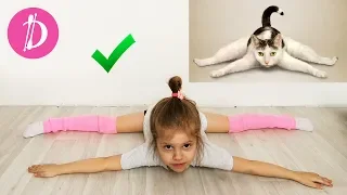 Йога челлендж с животными. Одиночные позы для Дарии. YOGA CHALLENGE the Best Challenges