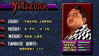 WWF Wrestlemania:The Arcade Game (Yokozuna) Gameplay