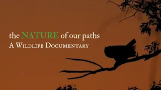 Wildlife Documentary | CALIFORNIA