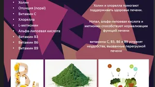 Презентация продукта " DG"  от Trading Point 2020 10 12