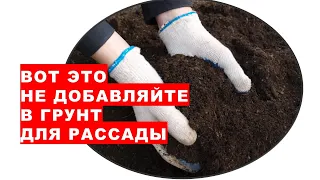 Вот это нельзя добавлять в почвогрунт для рассады