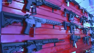 Louisville activists join calls for common sense gun control