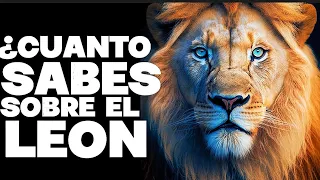 🦁10 CARACTERÍSTICAS ASOMBROSAS DE LOS LEONES!! "ANIMALES INCREIBLES"