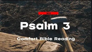 Psalm Chapter 3: Reading the Book of Psalm ( NIV )