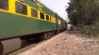 Delhi Sarai Rohilla-Bandra Terminus Garib Rath Express looks Shinny in Bright Sunlight