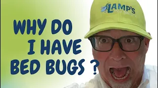 WHERE DO BED BUGS COME FROM? HOW DID BEDBUGS GET INTO MY HOME?