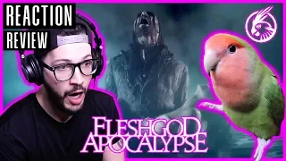 FLESHGOD APOCALYPSE "Sugar" - REACTION / REVIEW