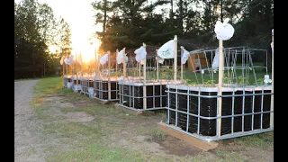 How to make non-toxic Wicking Bed from IBC Tote for Organic Garden