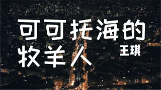 【动态歌词Lyrics】王琪 - 可可托海的牧羊人 (高音质音乐)