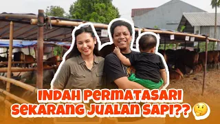 TERNYATA BISNIS JUALAN SAPI TIDAK SEMUDAH ITU | INDAH PERMATASARI & ARIE KRITING