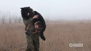 Вічно можна дивитися на три речі: як палає вогонь, тече вода і працює службовий собака