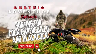 Austria Adventure Episode Hunting for Cock Capercaillie and Blackcock