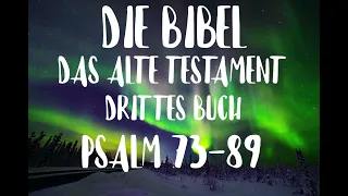 Die Psalmen - Drittes Buch Psalm 73-89