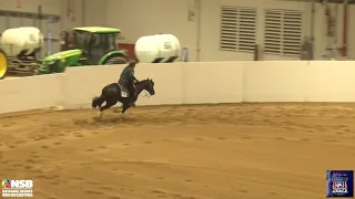 2021 Quarter Horse Congress Reining Open Futurity Shawn Flarida on Shiner On My Eye