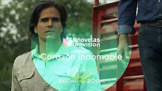 Maratón: Corazón Indomable | Univision Tlnovelas