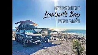 West Coast Camping - Lamberts Bay, South Africa