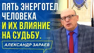 ПЯТЬ ЭНЕРГОТЕЛ ЧЕЛОВЕКА И ИХ ВЛИЯНИЕ НА СУДЬБУ. АЛЕКСАНДР ЗАРАЕВ 2019. Школа астрологии онлайн