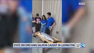 State record king salmon caught in Ludington