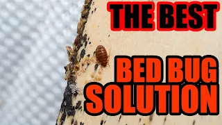 Complete Bed Bug Treatment Done Right - Crossfire Bed Bug Concentrate Works Best