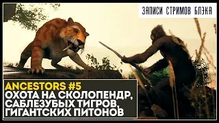 Великий исход на юг - война со сколопендрами, тиграми, питонами | Ancestors #5