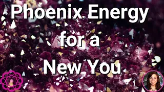 Phoenix Energy for a New You ⭐